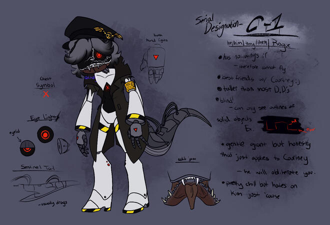 Serial Designation- C-1